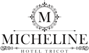 logo-micheline-tricot.png